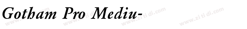Gotham Pro Mediu字体转换